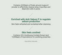 ANUA Heartleaf Quercetinol Pore Deep Cleansing Foam